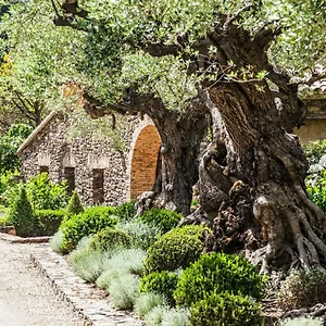 Domaine Les Mesanges 3* Gassin